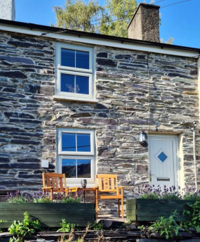 Coblynau Cottage